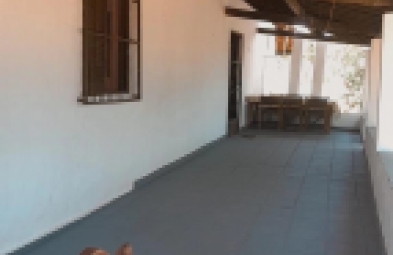 Fazenda para venda em Floriano